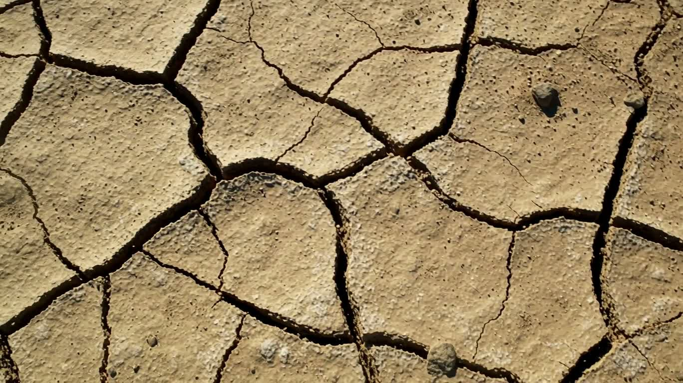 L'immensité vide du désert du plateau