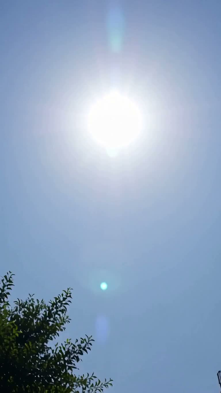灼熱の太陽の下でやさしい日焼け止めのひととき