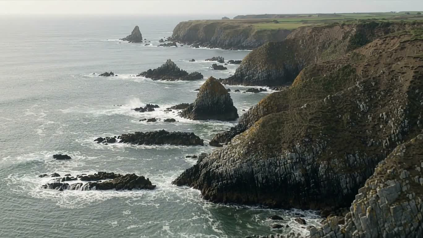 Wild Coast