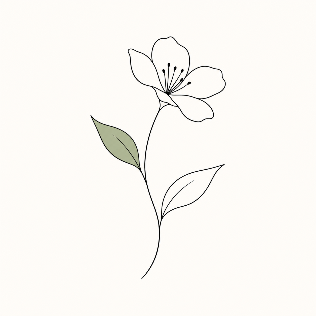 米白背景上的极简连续黑线植物插画 — AI image creation