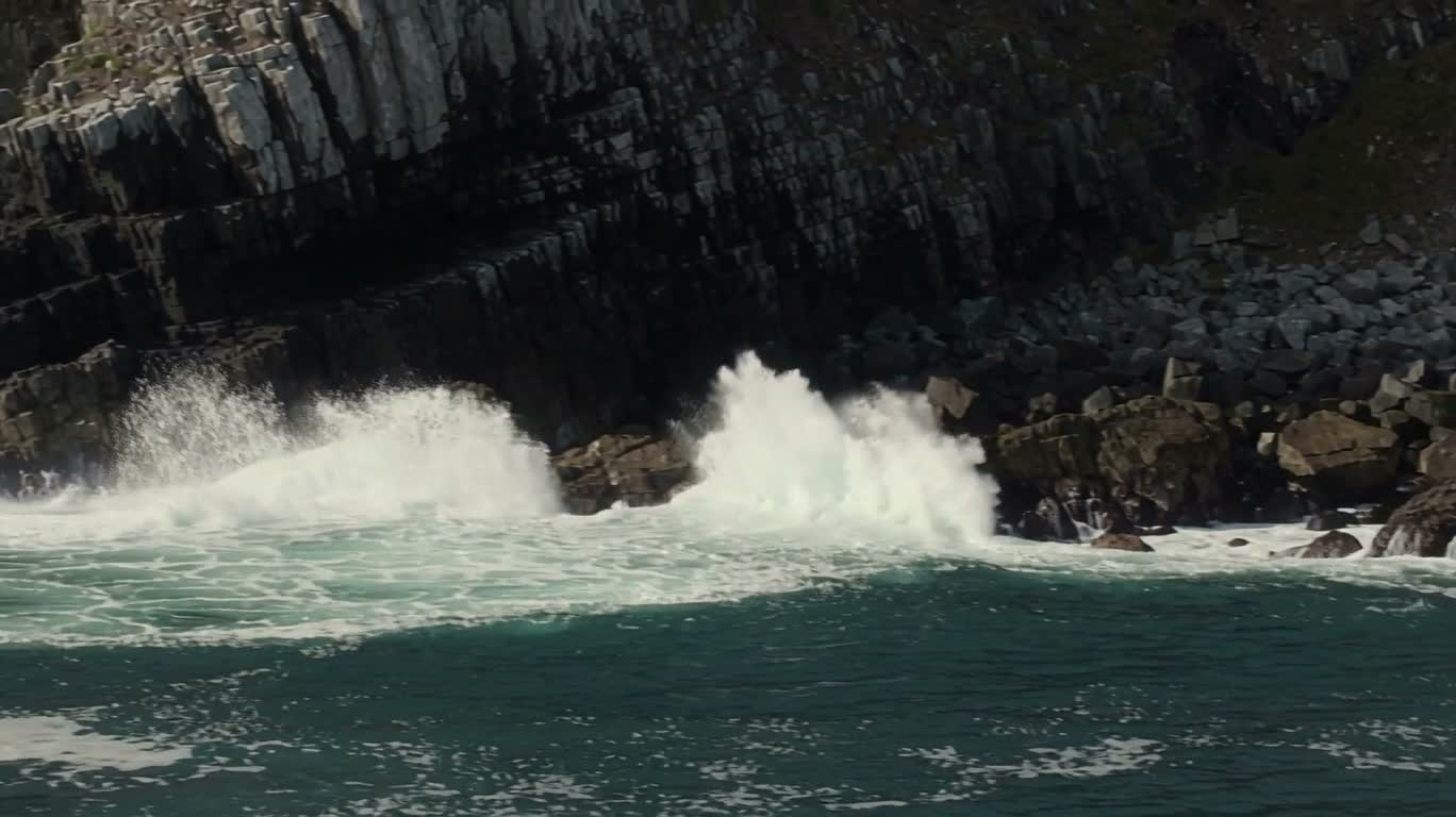 Wild Coast