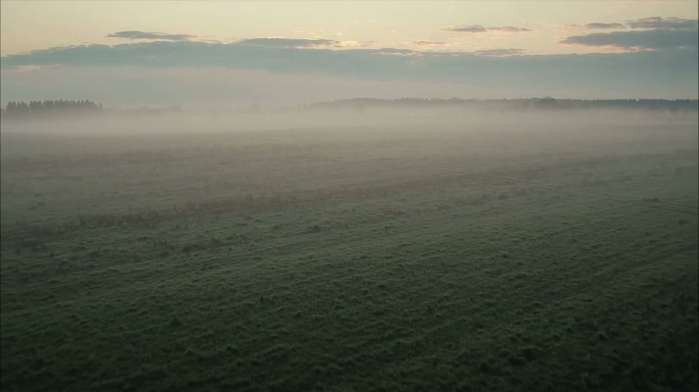 Quiet Dawn Over the Mist-Covered Plains
