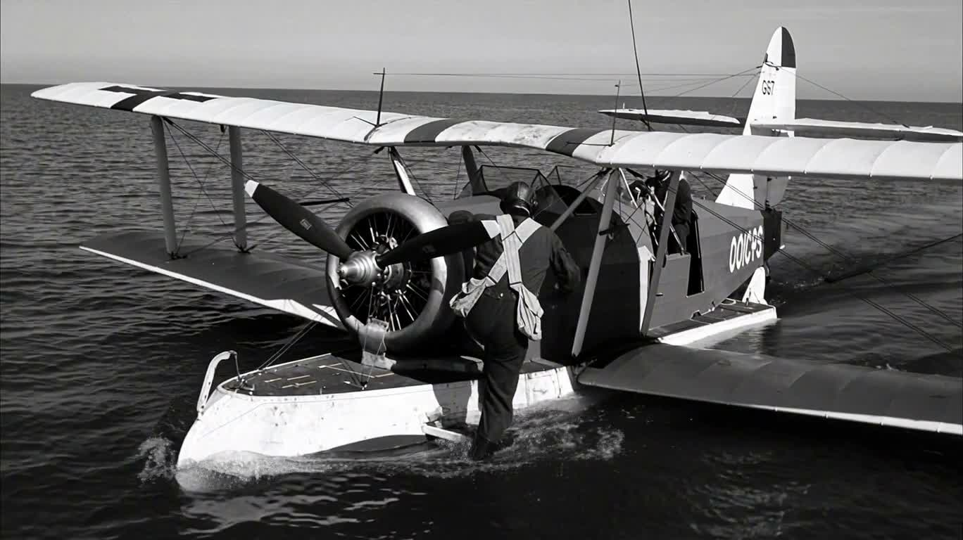 1914年 海上の双尾翼水上機