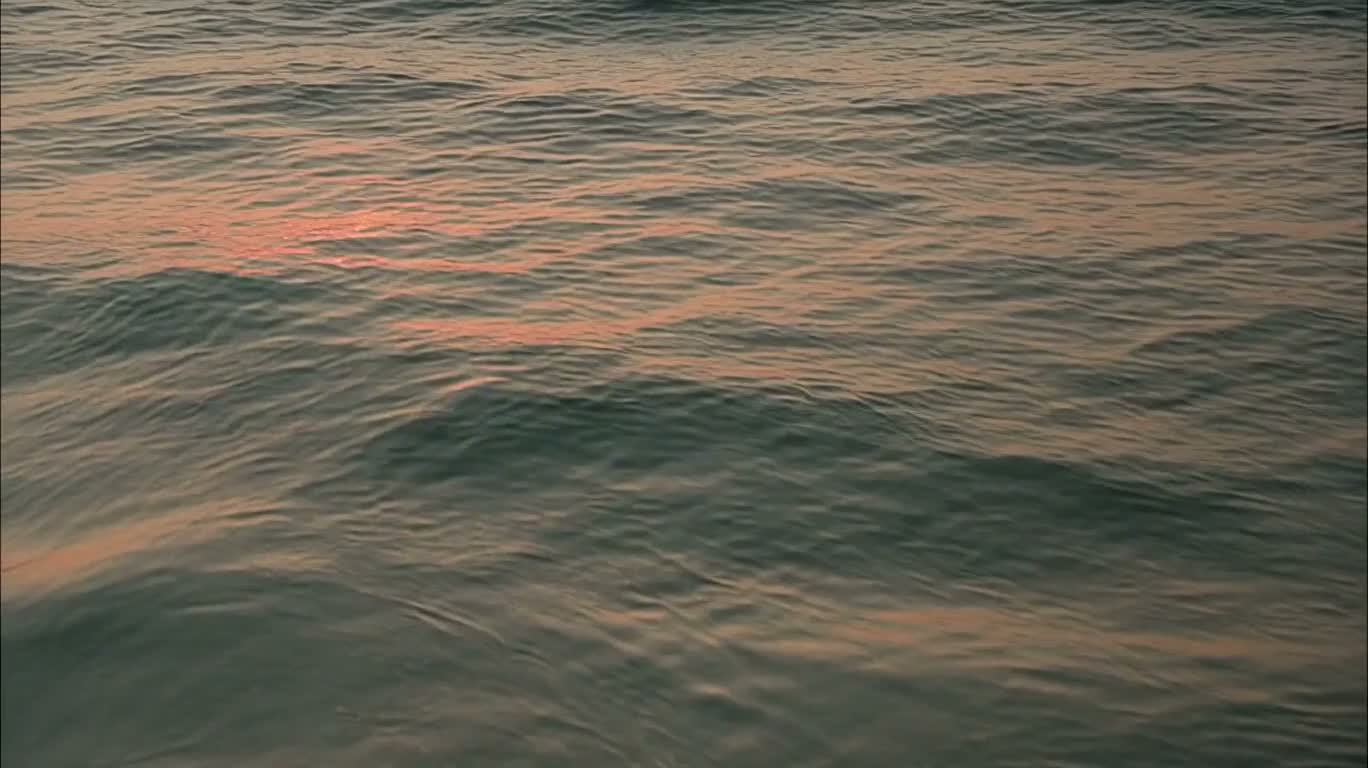 日出海岸 — AI video creation