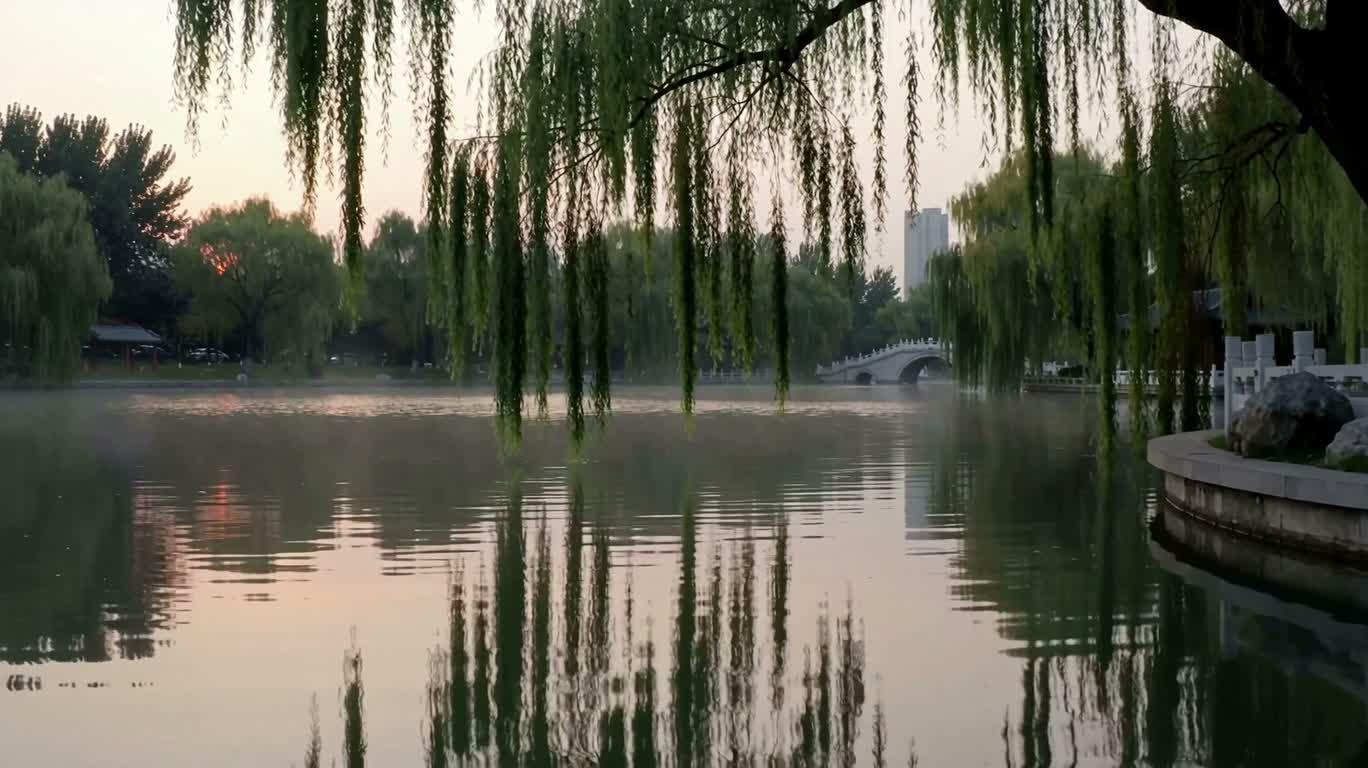垂柳映 pond