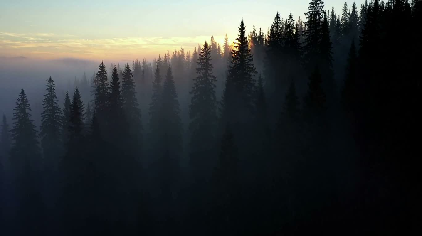 Brume au lever du soleil sur la crête
