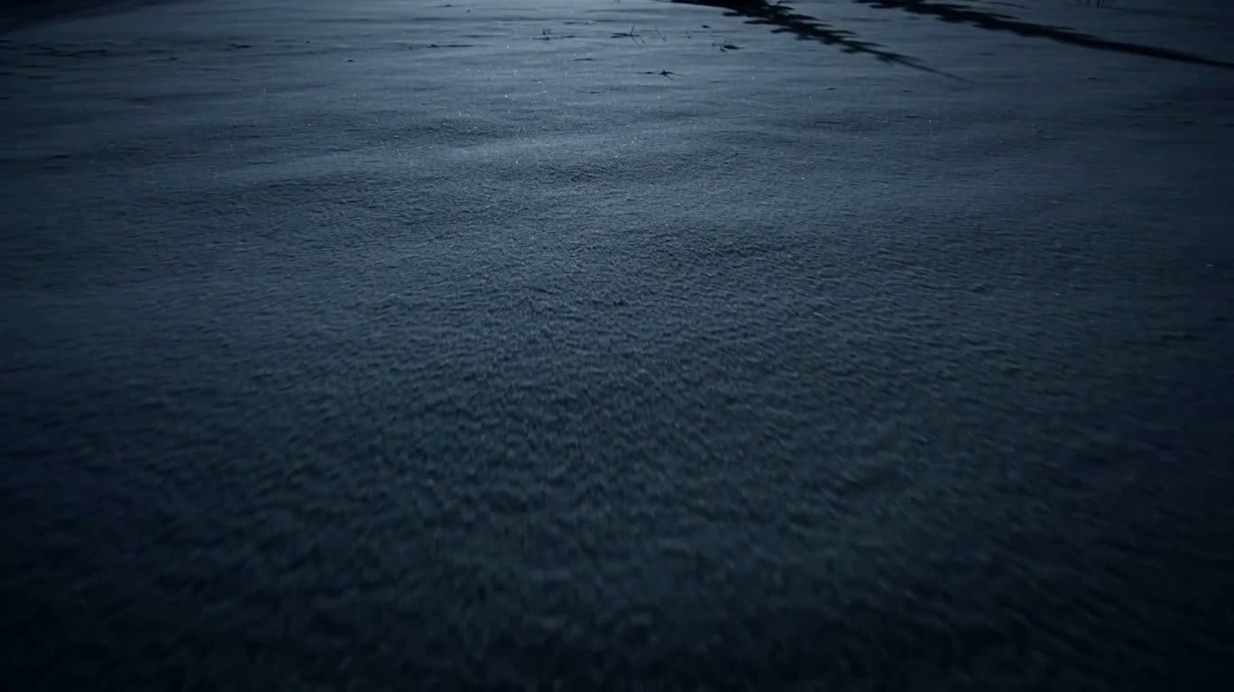 月下雪原
