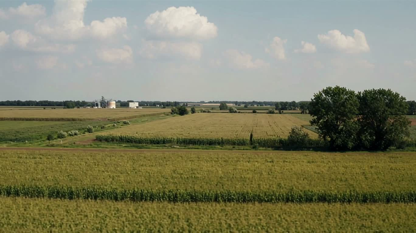 Les greniers de la plaine