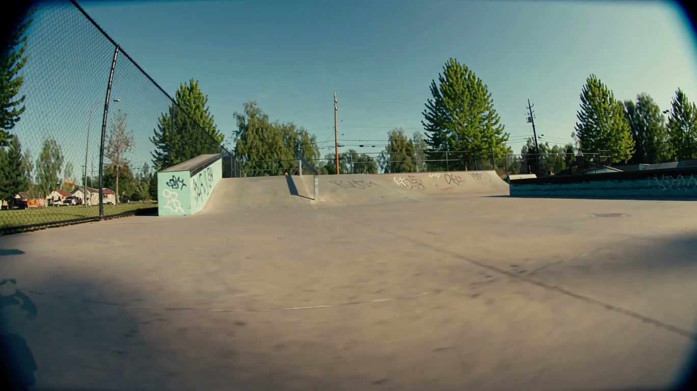 Aventure en skateboard d'un teckel