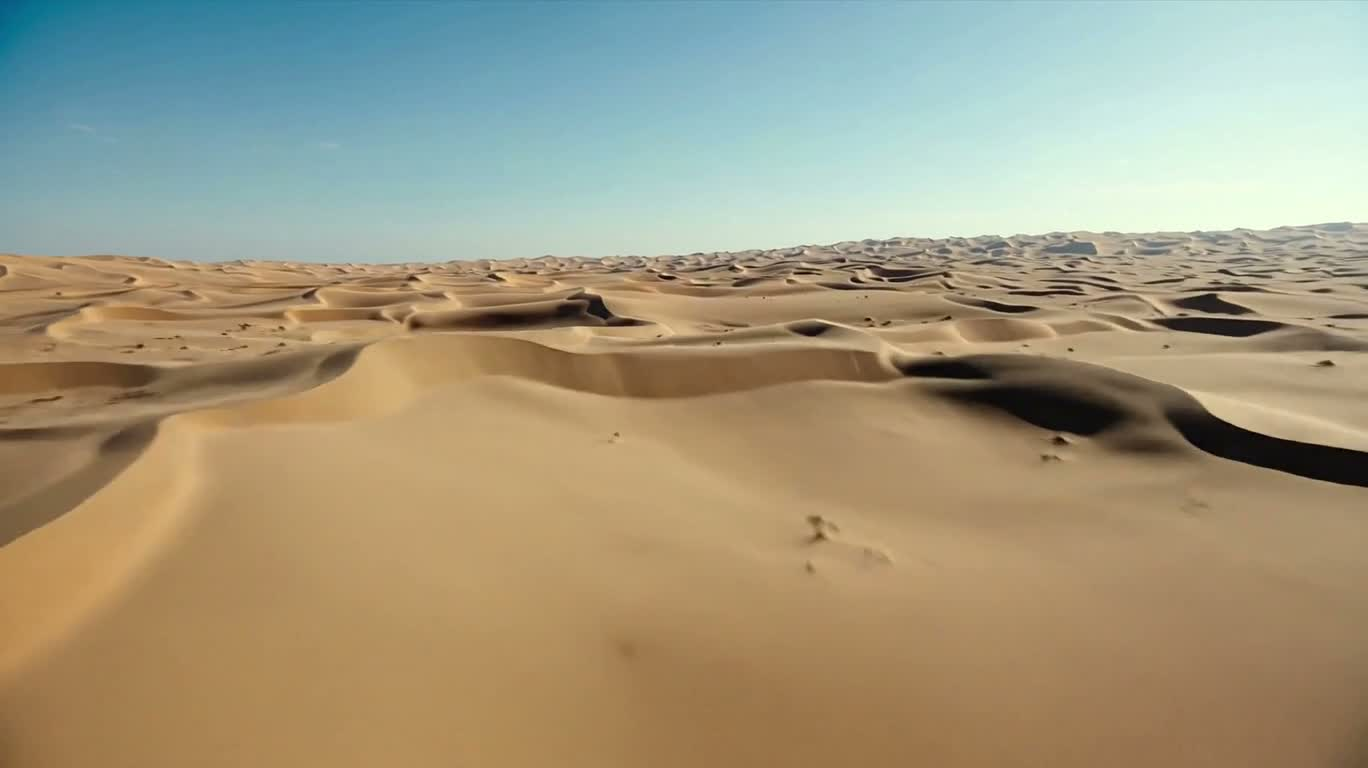 无尽前冲:世界撕裂之旅