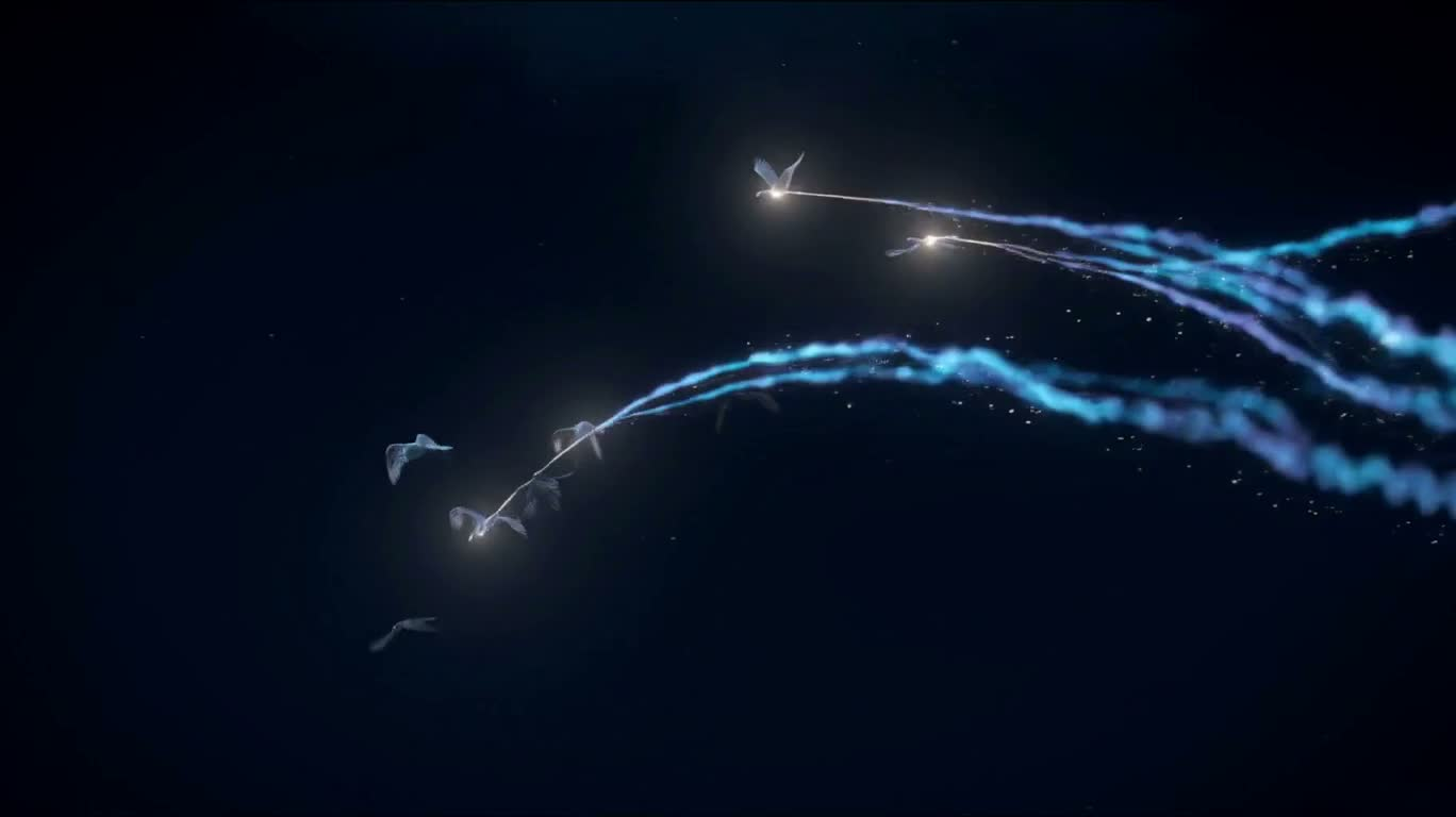夜空中的流光鸟群