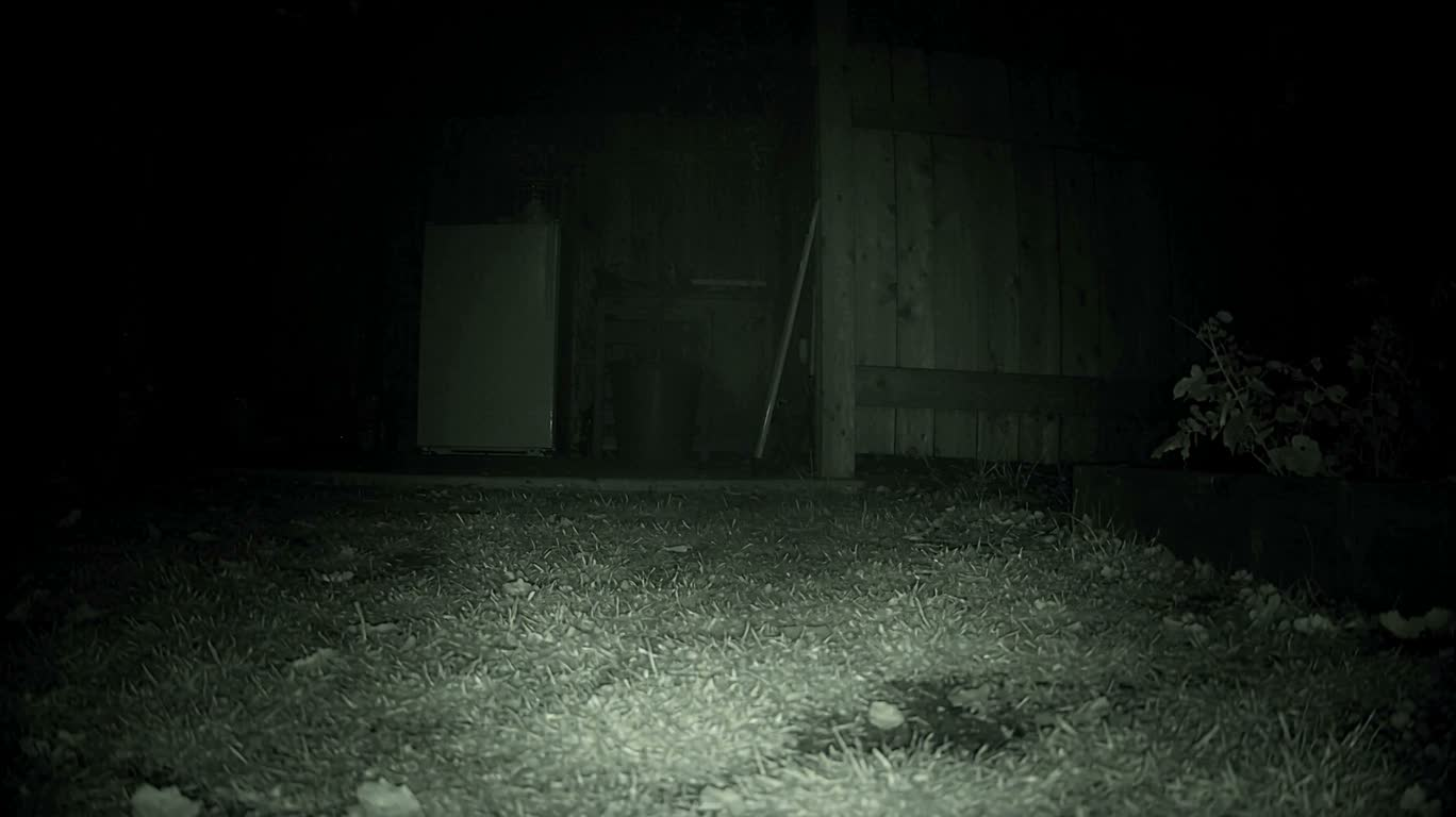 Visite nocturne infrarouge