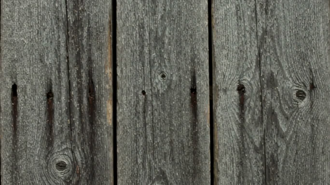 Texture patinée d'une vieille porte de grange