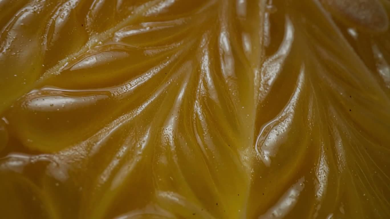 Microscopic Still Life of Citrus and Copper Coins — AI video creation