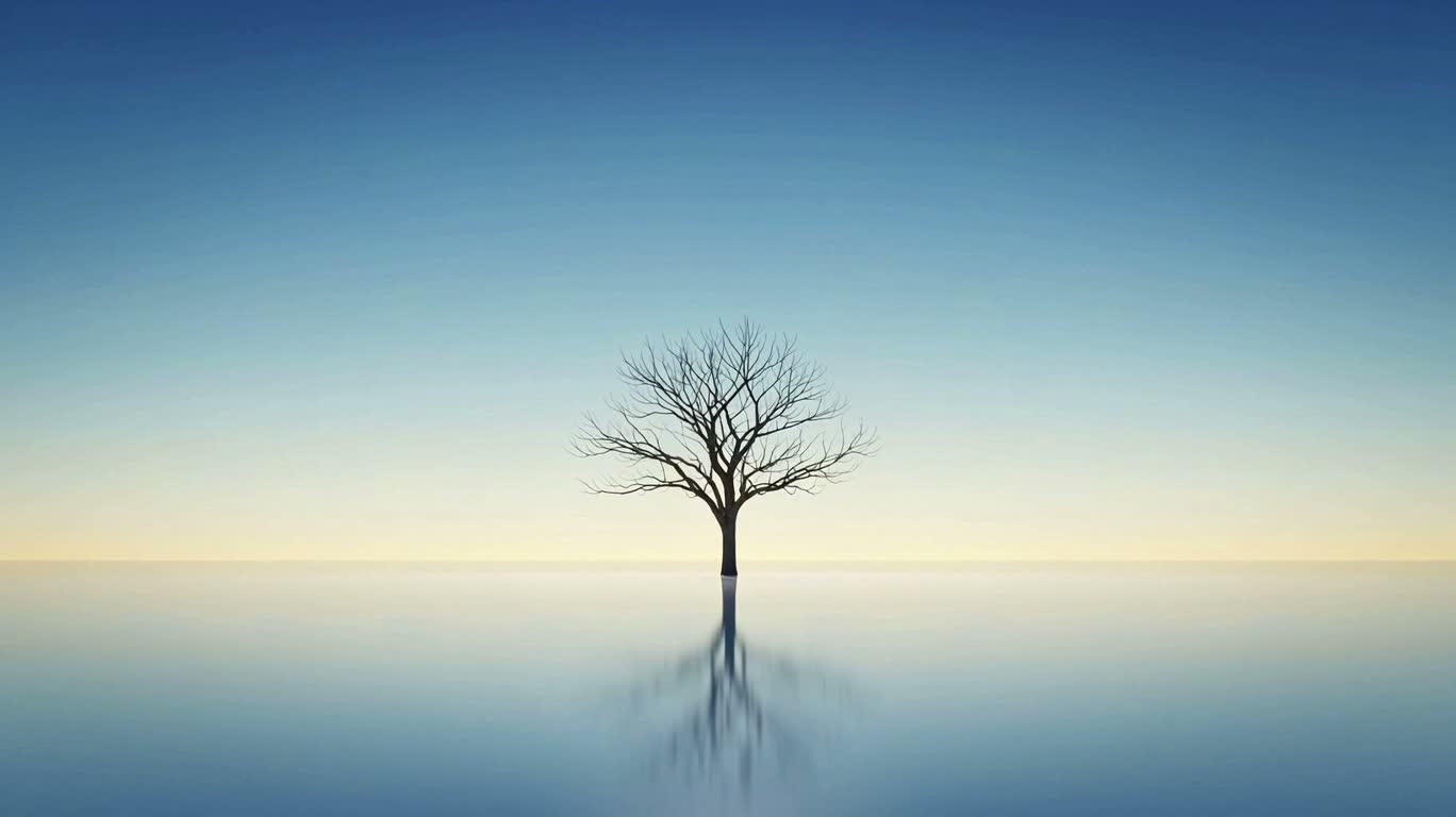 Le cycle des saisons d'un arbre