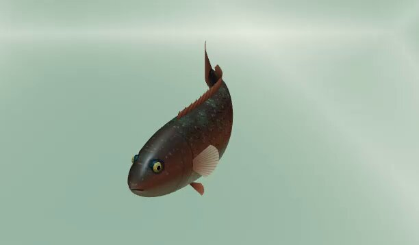 Fishing game graphics update
