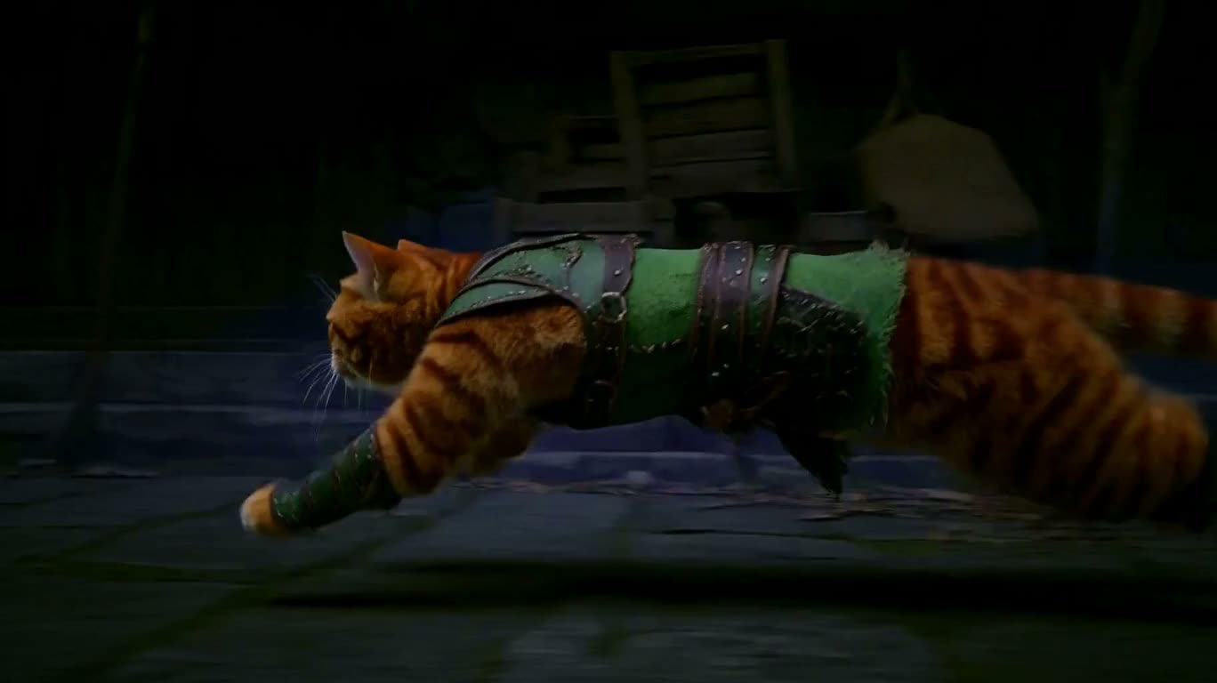 紫雾桥上的猫战士