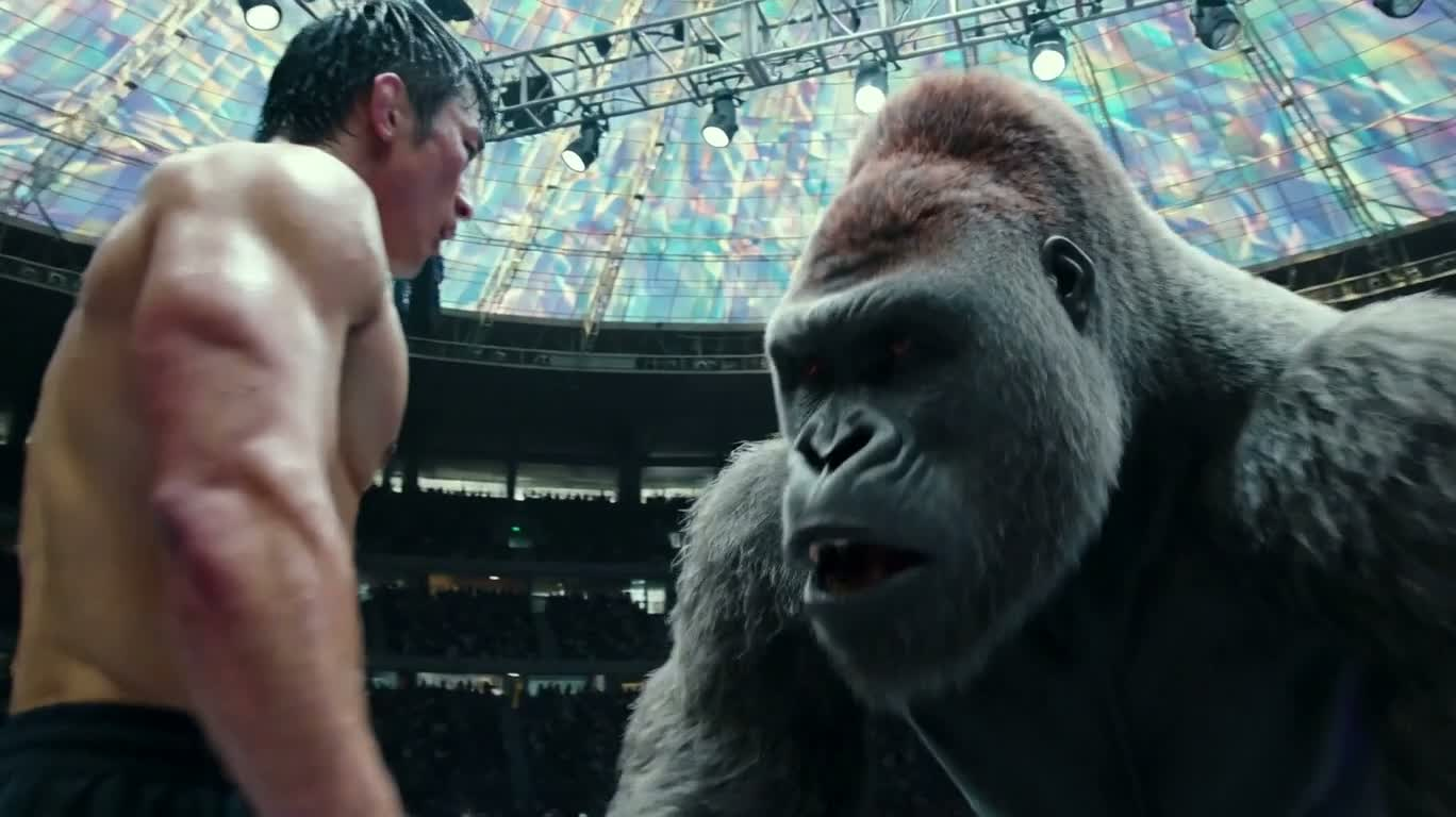 Silent Tribute Between Silverback and Human — AI video creation
